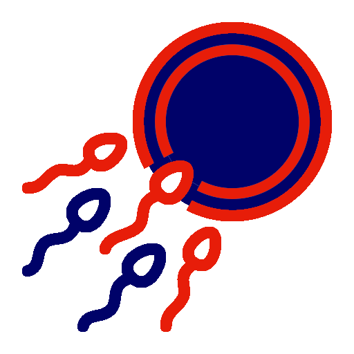 egg 13940655 (2)