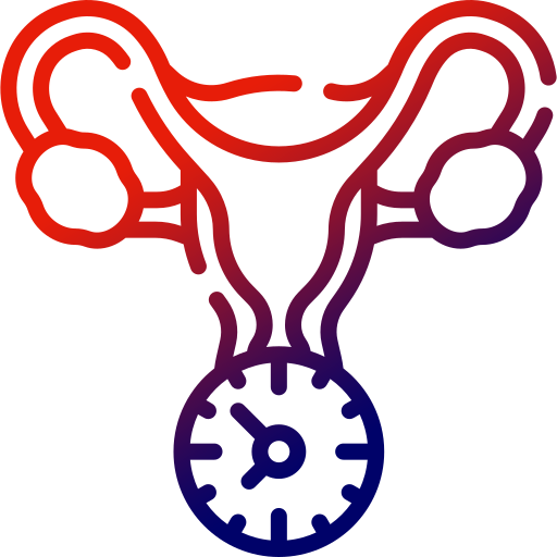 Best Gynecology Hospital In Poranki menopause (1)